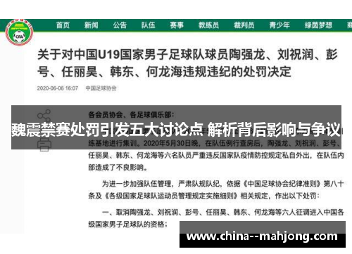 魏震禁赛处罚引发五大讨论点 解析背后影响与争议