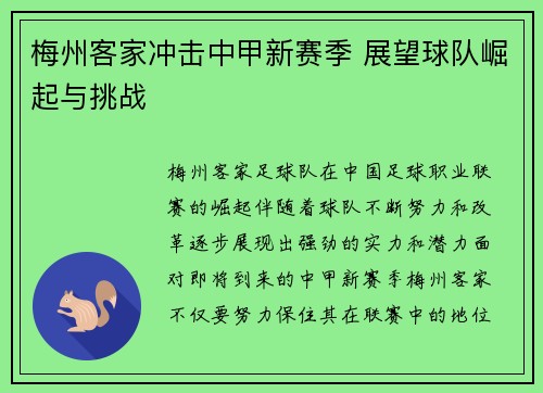 梅州客家冲击中甲新赛季 展望球队崛起与挑战 梅州客家冲击中甲新赛季 展望球队崛起与挑战